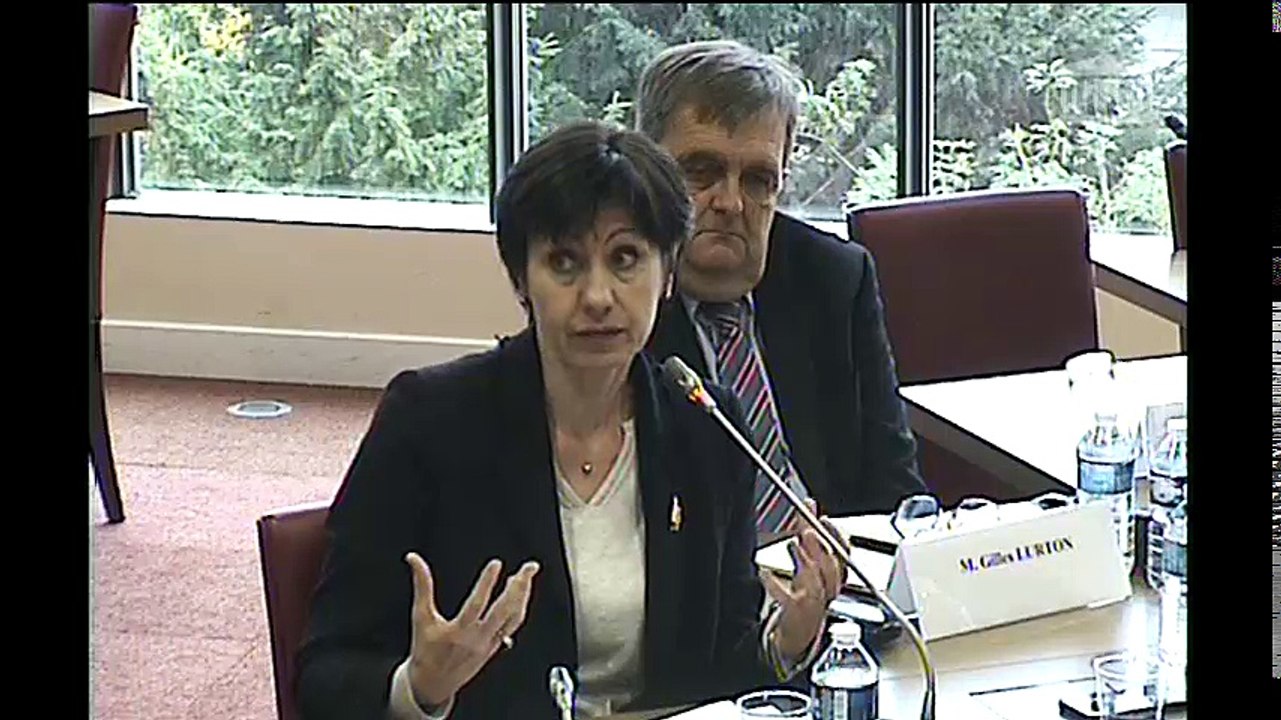 Groupe de travail statut des collaborateurs : synthèse des contributions ; auditions diverses - Jeudi 16 novembre 2017