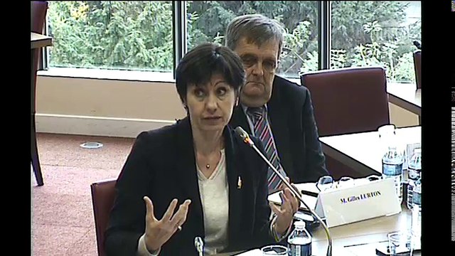 Groupe de travail statut des collaborateurs : synthèse des contributions ; auditions diverses - Jeudi 16 novembre 2017