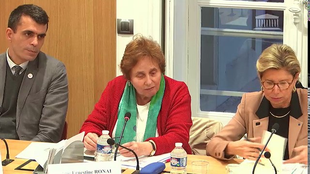 Délégation aux droits des femmes : Auditions diverses - Mardi 14 novembre 2017