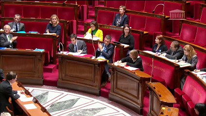 1ère séance : Questions au Gouvernement ; Election de six juges titulaires et de six juges suppléants à la Cour de Justice de la République ; PLF pour 2018 (seconde partie) : Culture - Mardi 14 novembre 2017