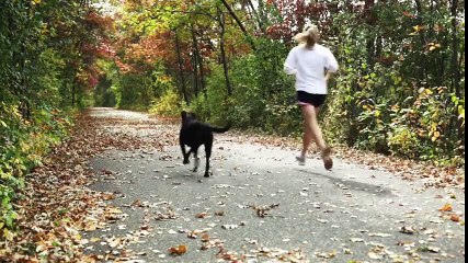 Lose Thigh Fat in Just A week With This 4 Leg Workouts