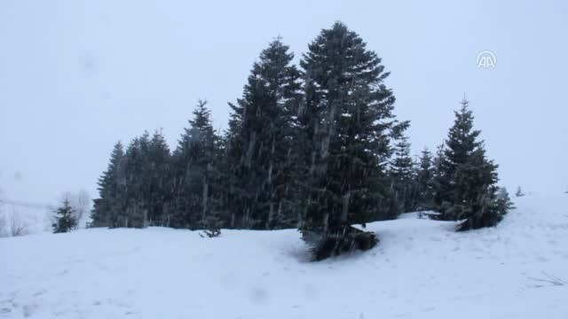 Uludağ'da Kar Yağışı Etkili Oluyor