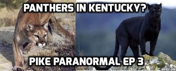 Pike paranormal Panthers Mountain lions in Kentucky