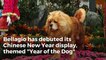 Bellagio Conservatory debuts "Year of the Dog" Chinese New Year display