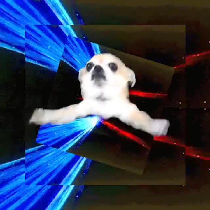 Zeds Dead Doge