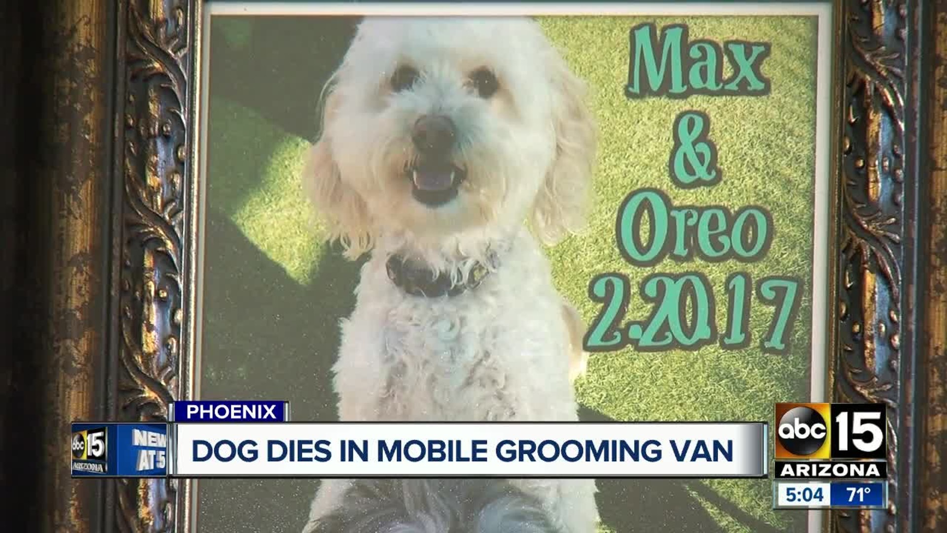 ⁣Dog dies in Phoenix mobile grooming van