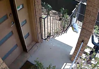 CCTV Shows Courier Roughly Tossing Package Containing Camera