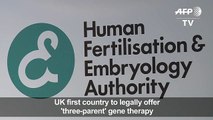 UK first country to legally offer 'three-parent' gene