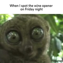 Friday Night Wine Time