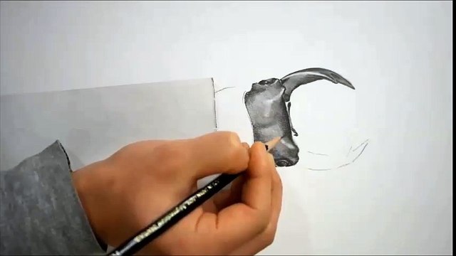 연필드로잉 - 곤충(사슴벌레)그리기 [Pencil sketch/Speed drawing]