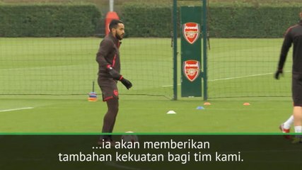 Allardyce inginkan Walcott di Everton, apakah Wenger akan membiarkannya?