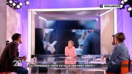 ARTE, 28mn, Guillaume PITRON, La Guerre Des Métaux Rares, 11 janvier 2018