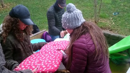 Sokak hayvanları için kulübe yapma yarışması