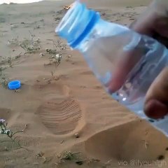 Quand il fait très froid dans le désert... Phénomène incroyable