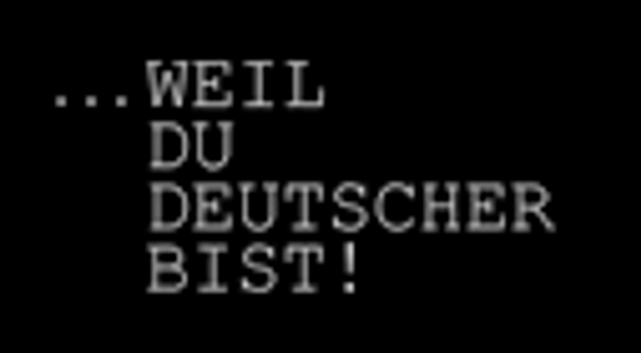 WEIL DU DEUTSCHER BIST! REPORTAGE ICH SAGE BLOSS ARMES DEUTSCHLAND:(