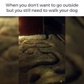 Ce gars a trouvé la méthode parfaite pour sortir le chien sans quitter la maison alors qu'il neige