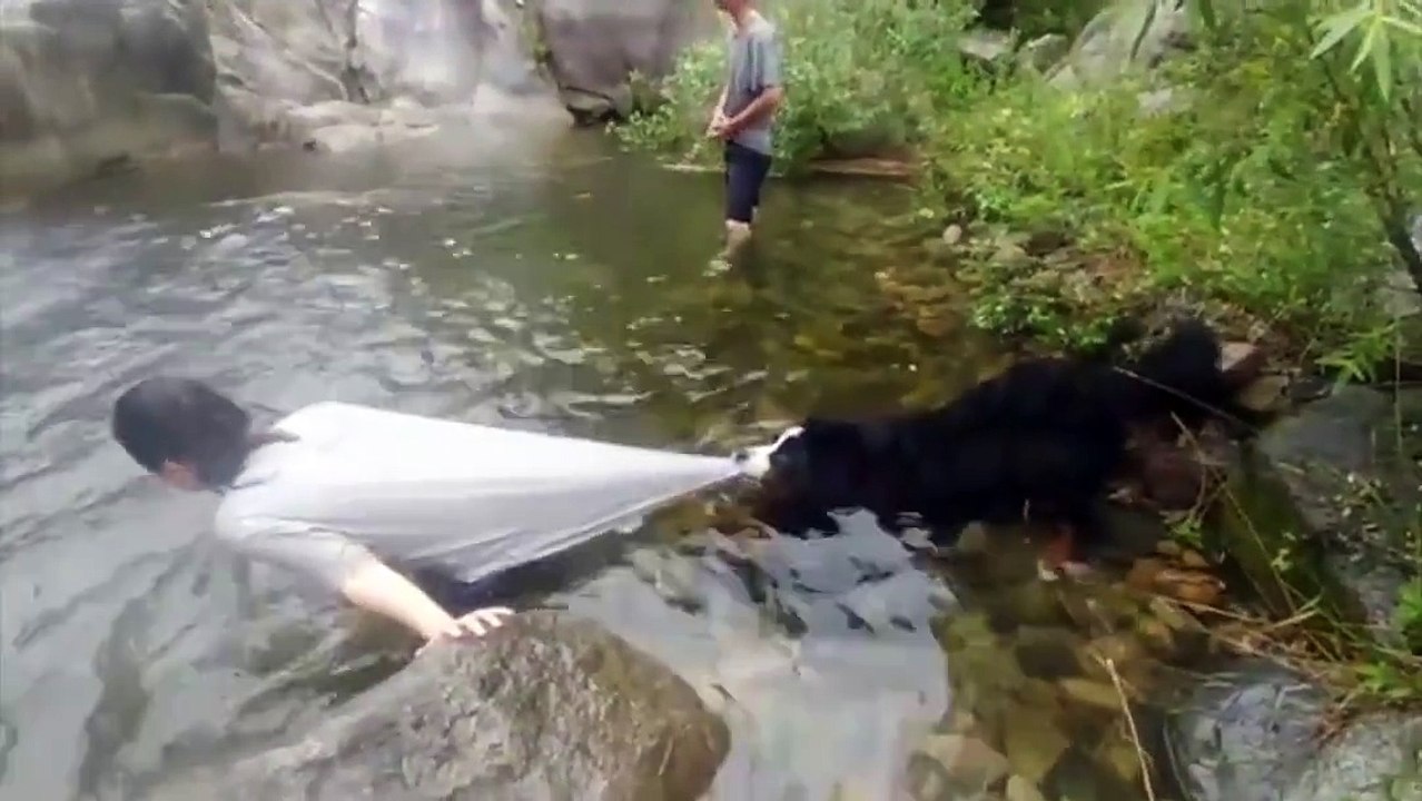 Quand ton chien est un peu trop protecteur et t'empeche de te baigner... Adorable