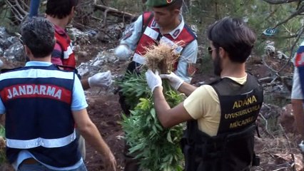 Adana'da 1 yılda 48 milyon 616 liralık uyuşturucu ele geçirildi