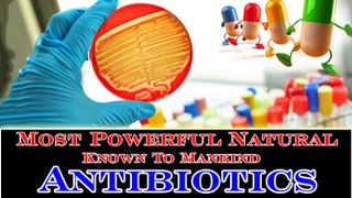 Most Powerful Natural Antibiotics Known To Mankind