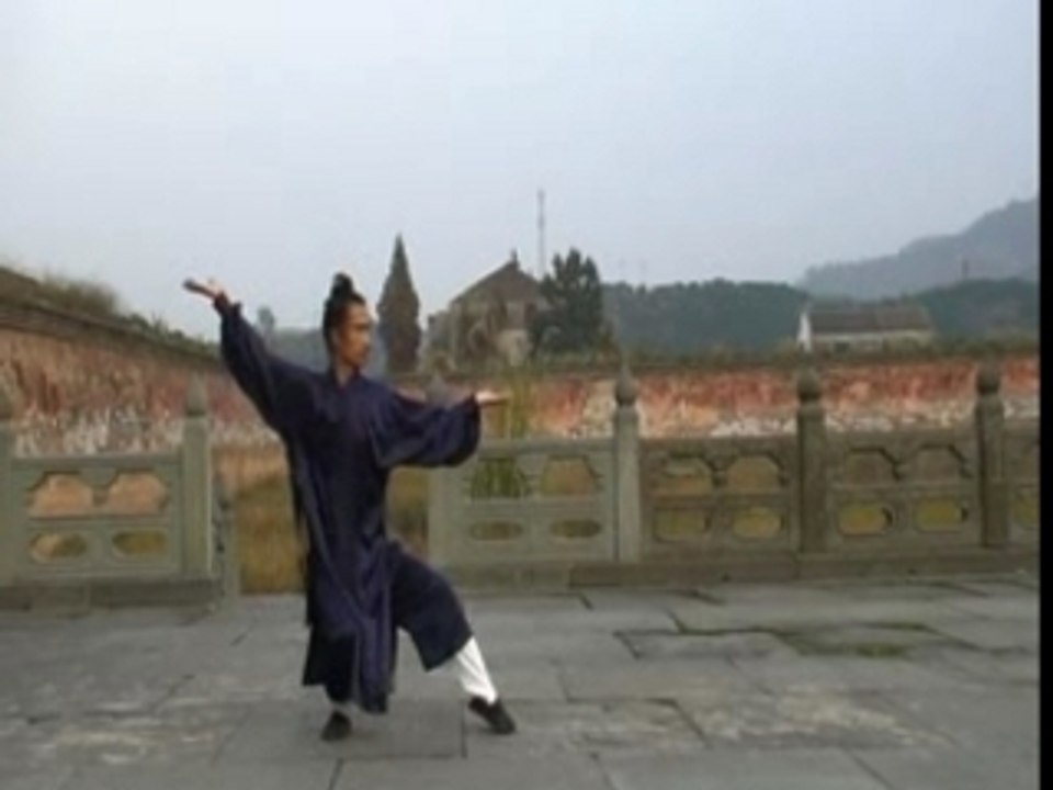 Taiyi Xuan Wu Quan Sifu Yuan Xiu Gang