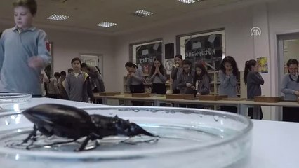 Okul Okul Dolaşıp Çocuklara Böcekleri Anlatıyorlar