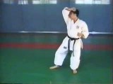 Karaté martial art kata heian shodan