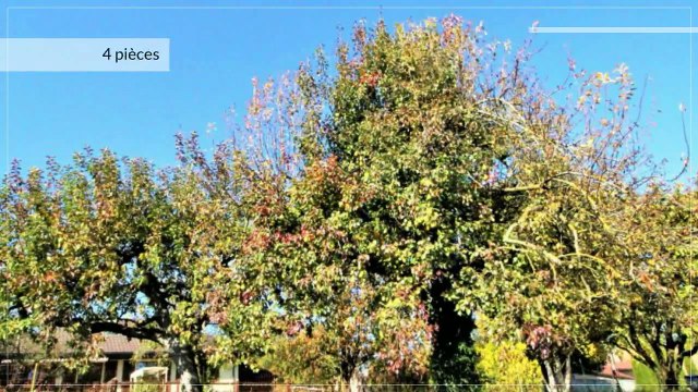 A vendre - Maison - Rances (1439) - 4.5 pièces