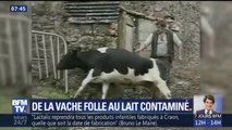 De la vache folle à Lactalis, retour sur les principaux scandales sanitaires