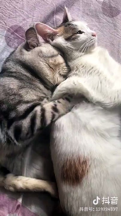 hug me baby - Video Dailymotion