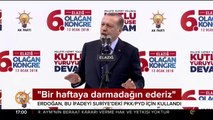 Cumhurbaşkanı Erdoğan: Ordu kurduklarını sandıkları çapulcuları