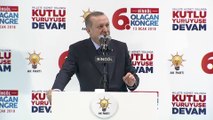 Cumhurbaşkanı Erdoğan: 'Hiçbir güç Türkiye'yi bölemez, bu milleti parçalayamaz' - BİNGÖL