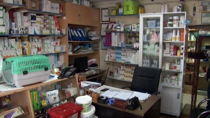 Başbakan Yıldırım’ın övgüyle bahsettiği veteriner hekim konuştu