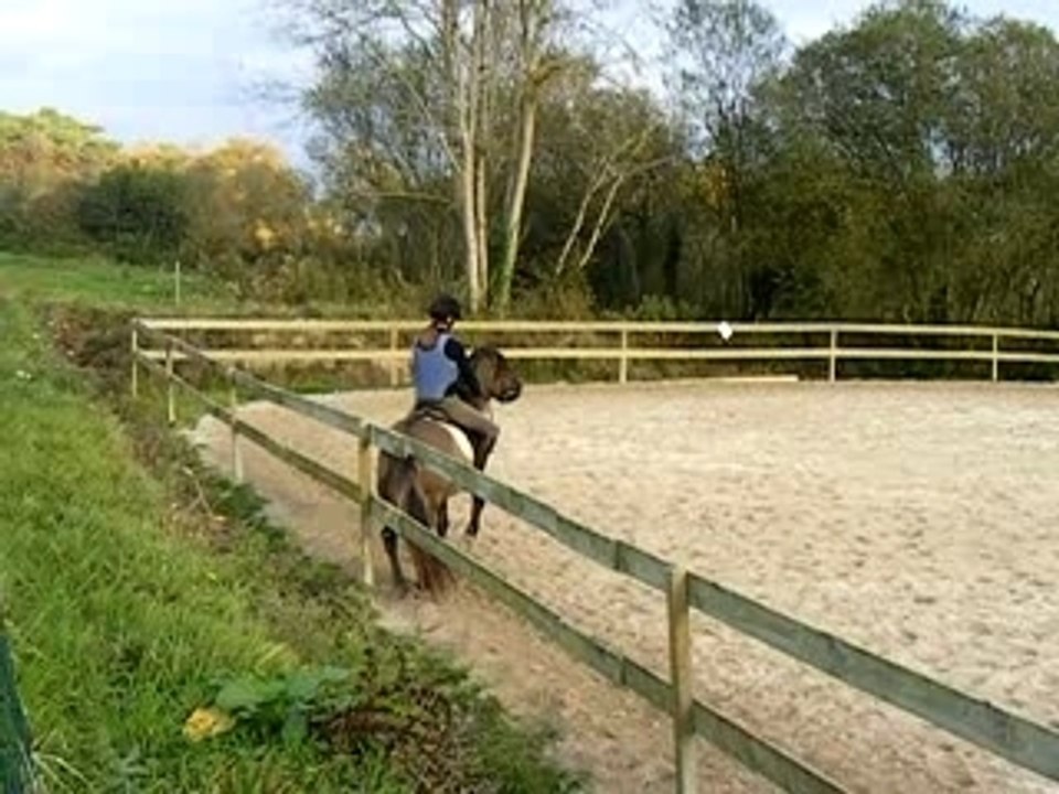Léo épaule en dedans - départ au galop
