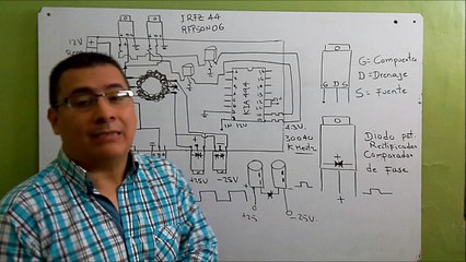 reparación plantas daños 2