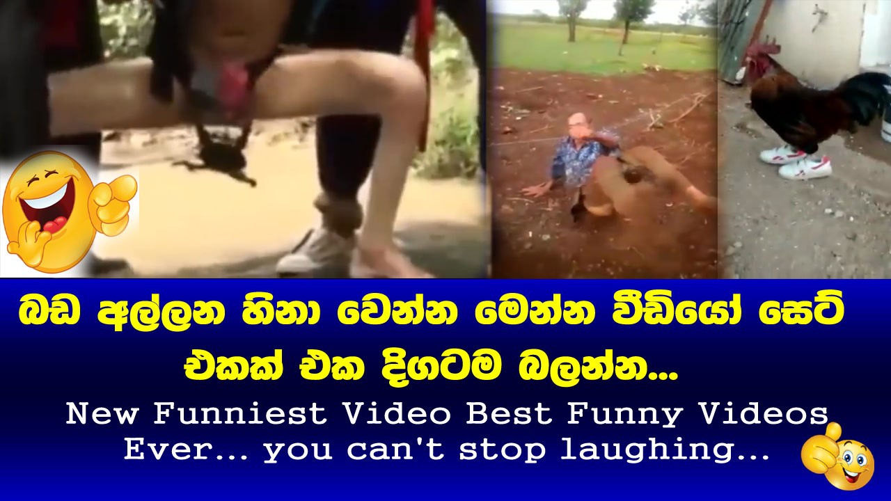 New Funniest Video Best Funny Videos Ever... you can't stop laughing බඩ අල්ලන් හිනාවෙන්න