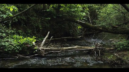 This Old Machine Trailer #1 (2017) Kevin Sorbo Lance Henriksen Thriller HD