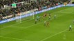 Newcastle United vs Swansea City 1-1 All Goals & Highlights 13.01.2018 HD