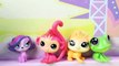 Konkurs Miss Pet Shopów - Littlest Pet Shop - Bajki dla dzieci