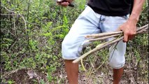 Awesome Quick Survival Bird Traps and Snares - How To Make Cage Bird Trap Work 100%