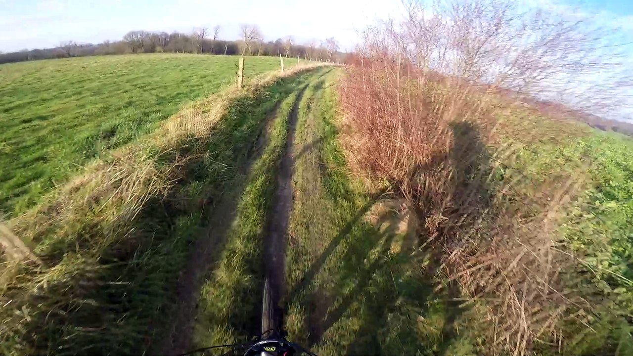 Le soleil qui caresse ta joue