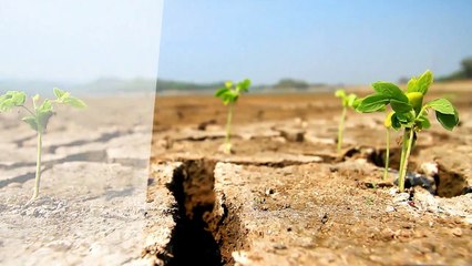 A vendre - Appartement - LA VALETTE DU VAR (83160) - 3 pièces - 62m²