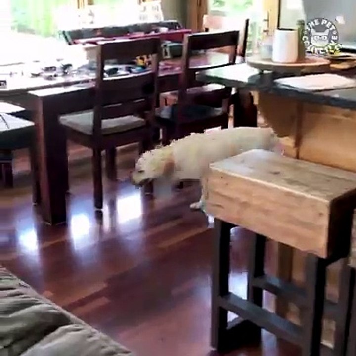 3,2,1....Ready or not, here I come! 