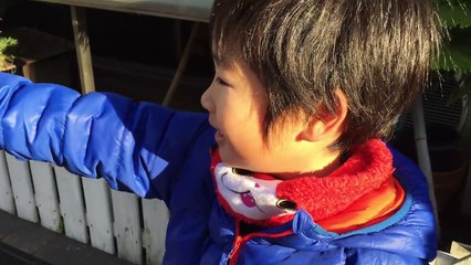 鉄道模型のSLがカレーを運ぶ店 ナイアガラに行きました【がっちゃん5歳】