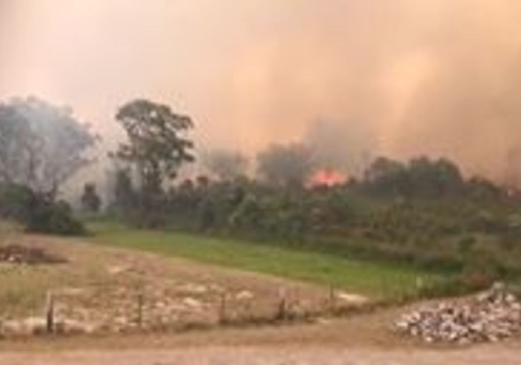 Footage Shows Bushfire Burning Close to Tomago Properties