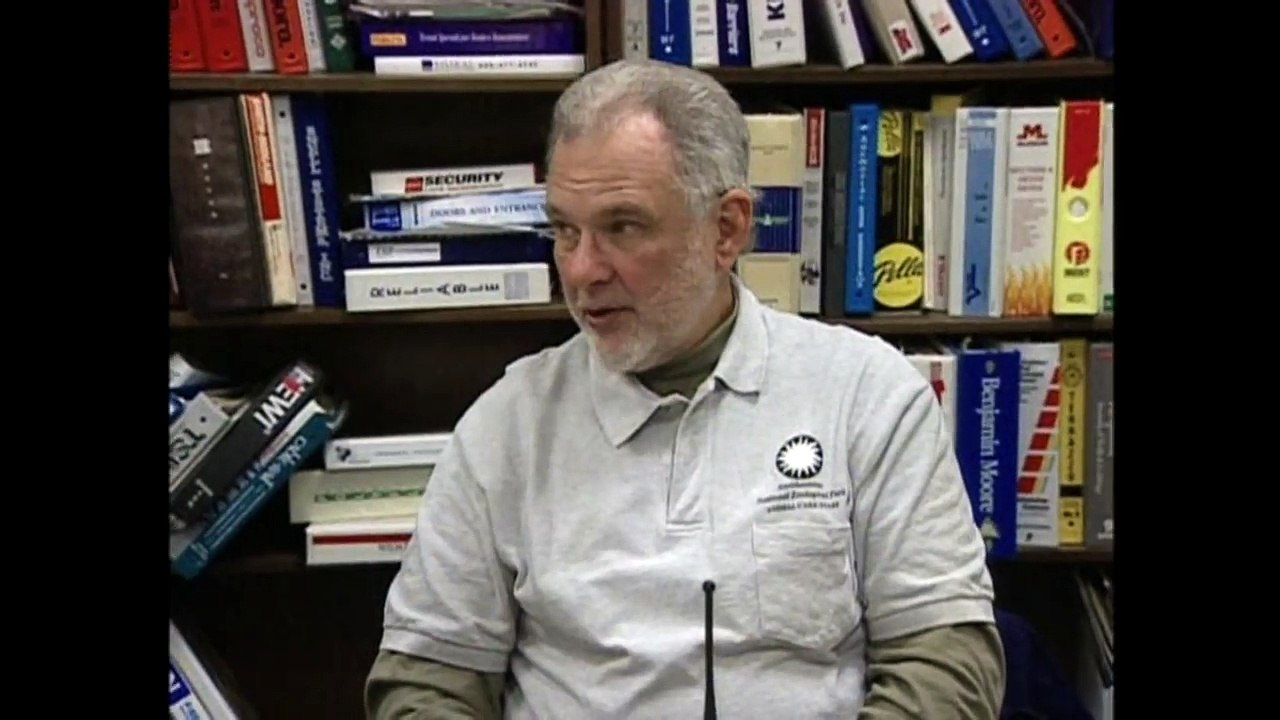 Meet The Pandas : Washingtons New Power Couple