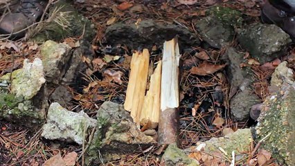 Solo Overnight at the Bushcraft Camp - Fire, Cooking, Axe Work