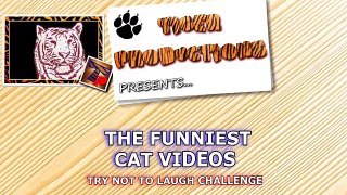 Super FUNNY CATS - TRY NOT TO LAUGH CHALLENGE - Best CAT VIDEOS compilation