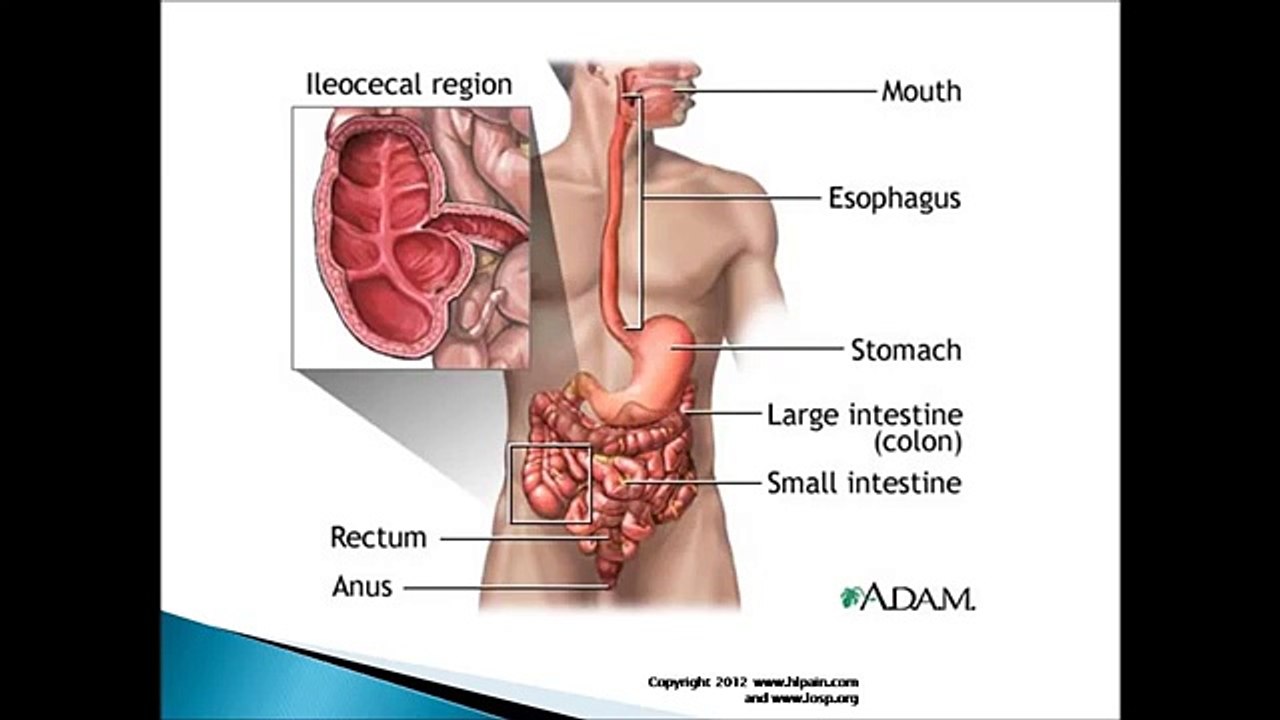 Stomach Pain Left Side Causes, Symptoms and Treatment