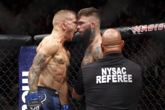 TJ Dillashaw vs Cody Garbrandt