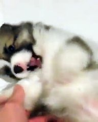 Cuối tuần rồi :3 Mấy sen ở nhà chơi với boss tí đừng bỏ mấy ẻm tội lắm :3